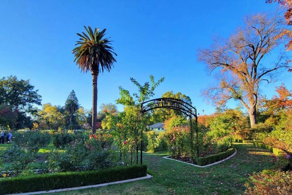 Artist'S Retreat Near The Heart Of The City Sacramento Luaran gambar
